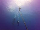 Hawaii Scuba divng 57