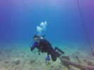 Hawaii Scuba divng 63