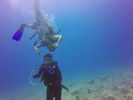 Hawaii Scuba divng 64