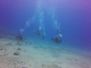 Hawaii Scuba divng 67