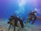 Hawaii Scuba divng 70