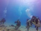 Hawaii Scuba divng 72