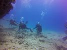 Hawaii Scuba divng 73