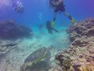 Hawaii Scuba divng 77