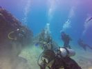 Hawaii Scuba divng 79