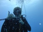 Hawaii Scuba divng 11