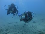 Hawaii Scuba divng 15