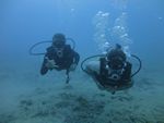 Hawaii Scuba divng 16