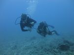 Hawaii Scuba divng 20