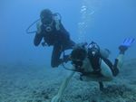 Hawaii Scuba divng 21