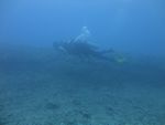 Hawaii Scuba divng 22