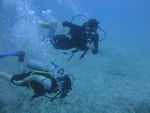 Hawaii Scuba divng 24