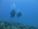 Hawaii Scuba divng 25