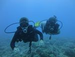 Hawaii Scuba divng 26