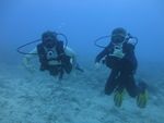 Hawaii Scuba divng 29