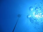 Hawaii Scuba divng 02