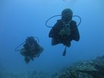 Hawaii Scuba divng 31