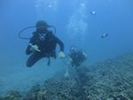 Hawaii Scuba divng 32