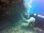 Hawaii Scuba divng 15