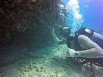 Hawaii Scuba divng 16