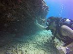 Hawaii Scuba divng 17