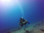 Hawaii Scuba divng 01