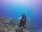 Hawaii Scuba divng 26