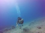 Hawaii Scuba divng 02