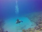 Hawaii Scuba divng 31