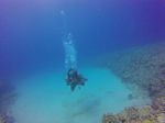 Hawaii Scuba divng 32