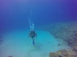 Hawaii Scuba divng 33