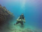 Hawaii Scuba divng 35