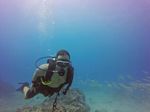 Hawaii Scuba divng 38