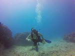 Hawaii Scuba divng 42