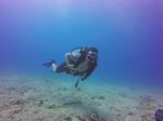 Hawaii Scuba divng 05