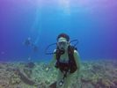 Hawaii Scuba divng 10