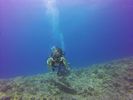 Hawaii Scuba divng 11