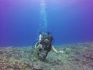 Hawaii Scuba divng 12