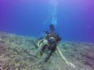 Hawaii Scuba divng 13