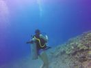 Hawaii Scuba divng 15