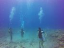 Hawaii Scuba divng 16