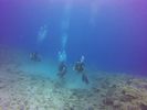 Hawaii Scuba divng 17