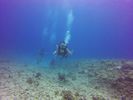 Hawaii Scuba divng 18