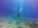 Hawaii Scuba divng 19