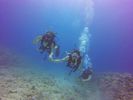 Hawaii Scuba divng 20