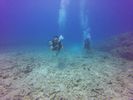 Hawaii Scuba divng 22