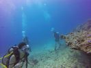 Hawaii Scuba divng 23