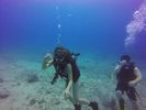 Hawaii Scuba divng 24