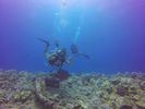 Hawaii Scuba divng 28