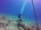 Hawaii Scuba divng 32